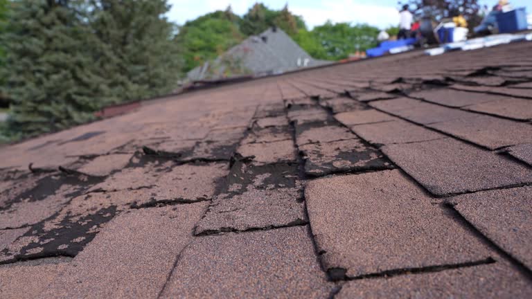 Fast & Reliable Emergency Roof Repairs in Peotone, IL